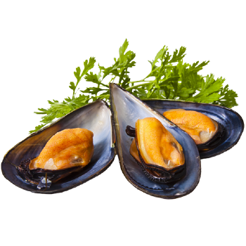 Ингредиент фото11